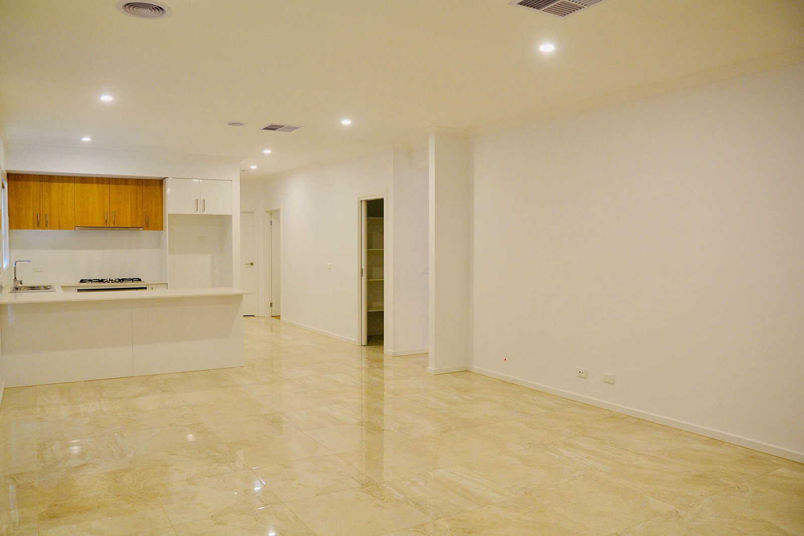Luxurious Kitchen